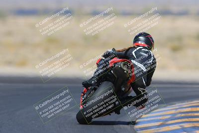 media/May-13-2023-SoCal Trackdays (Sat) [[8a473a8fd1]]/Turn 11 Backside (945am)/